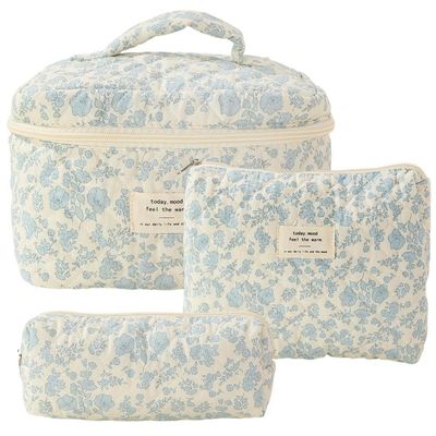 Lichte blauwe Gingham make-up tas Nieuwste modieuze stijl voor vrouwen reisbehoeften