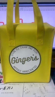 Gepersonaliseerde Kleur Niet-geweven isolerende lunchkoeler winkeltas voor picknick ijspakket