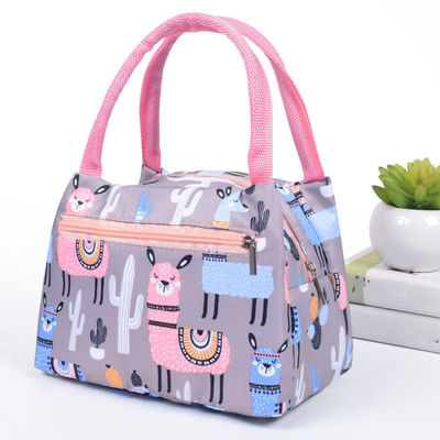 Geïsoleerde thermische mode stijl koeler picknick lunch box zak voor dagelijkse levensbehoeften