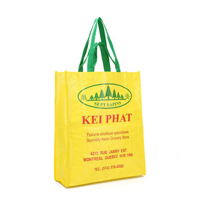 Custom Size Fashion Tote Bag met multi-color logo gedrukt gelamineerd PP geweven materiaal