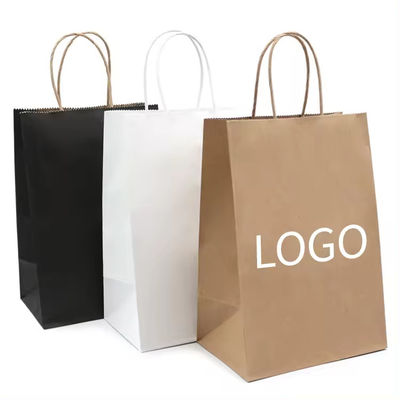 Paper Twisted Handle Shopping Gift Carrier Bag met logo afgedrukt en OEM/ODM aanvaard