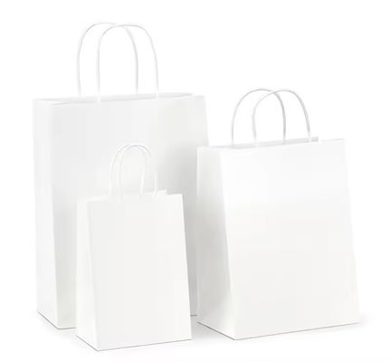 Paper Twisted Handle Shopping Gift Carrier Bag met logo afgedrukt en OEM/ODM aanvaard
