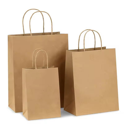 Paper Twisted Handle Shopping Gift Carrier Bag met logo afgedrukt en OEM/ODM aanvaard