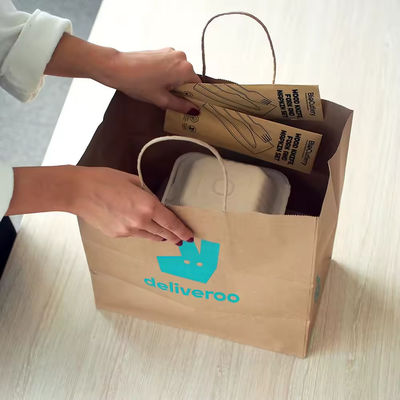 Paper Twisted Handle Shopping Gift Carrier Bag met logo afgedrukt en OEM/ODM aanvaard