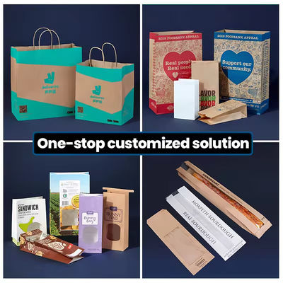 Paper Twisted Handle Shopping Gift Carrier Bag met logo afgedrukt en OEM/ODM aanvaard