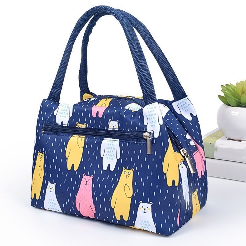 Geïsoleerde thermische mode stijl koeler picknick lunch box zak voor dagelijkse levensbehoeften